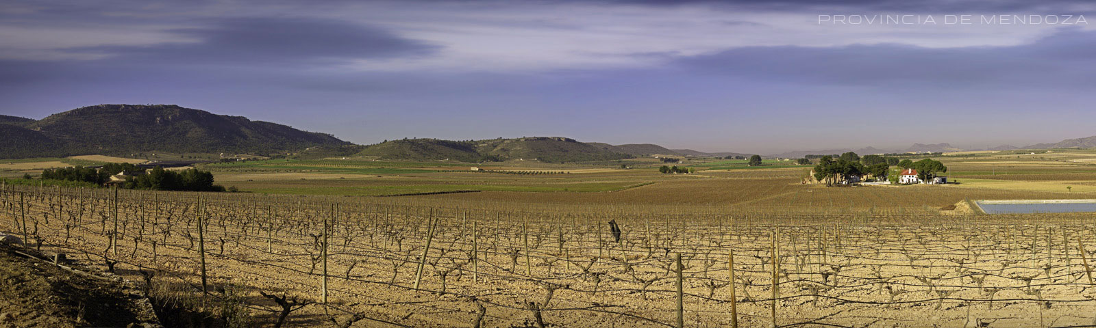 Mendoza